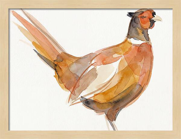 Pheasant In Watercolor Hues
