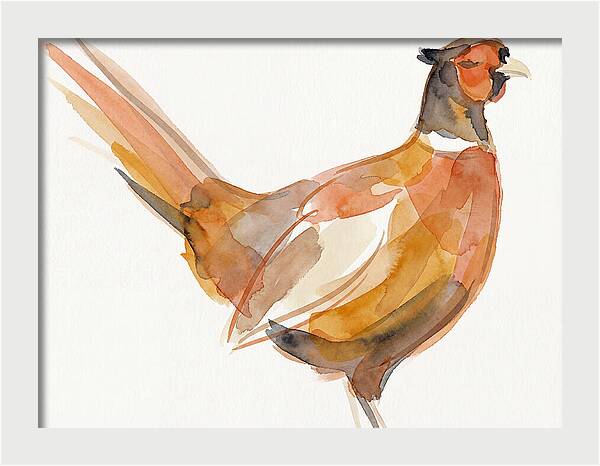 Pheasant In Watercolor Hues