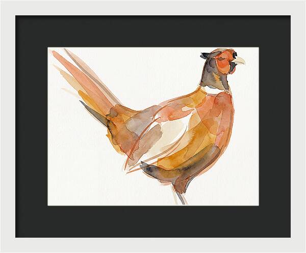 Pheasant In Watercolor Hues