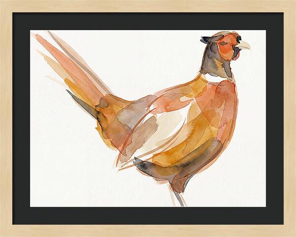 Pheasant In Watercolor Hues