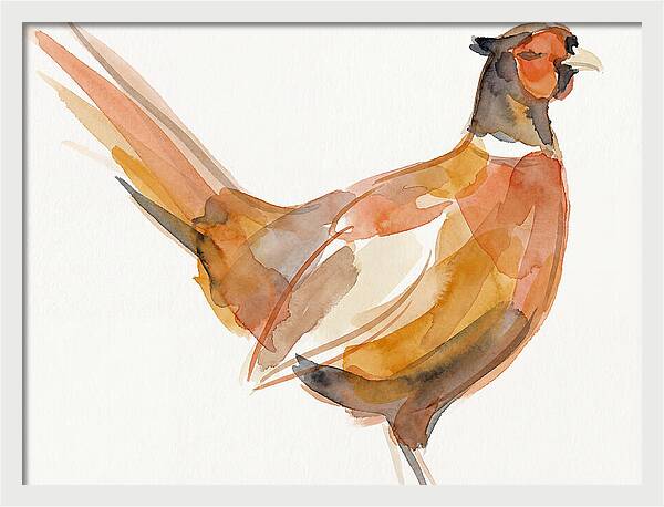 Pheasant In Watercolor Hues