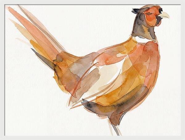 Pheasant In Watercolor Hues