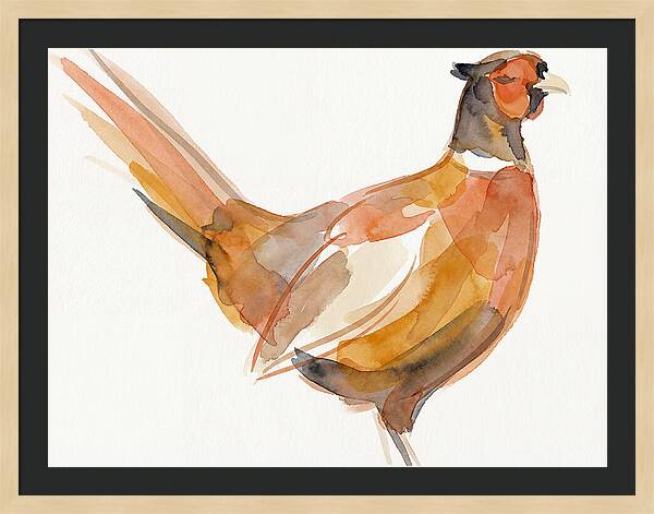 Pheasant In Watercolor Hues
