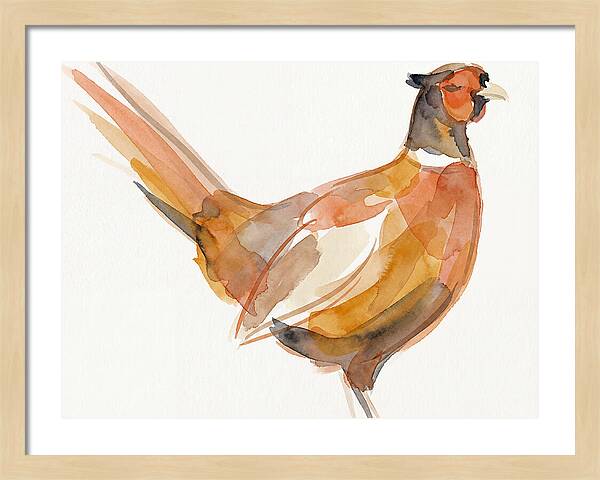 Pheasant In Watercolor Hues
