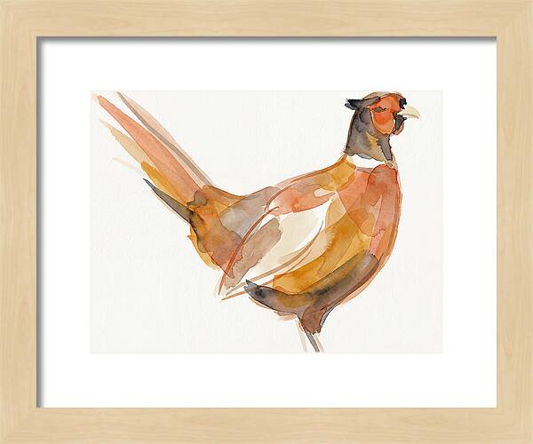 Pheasant In Watercolor Hues