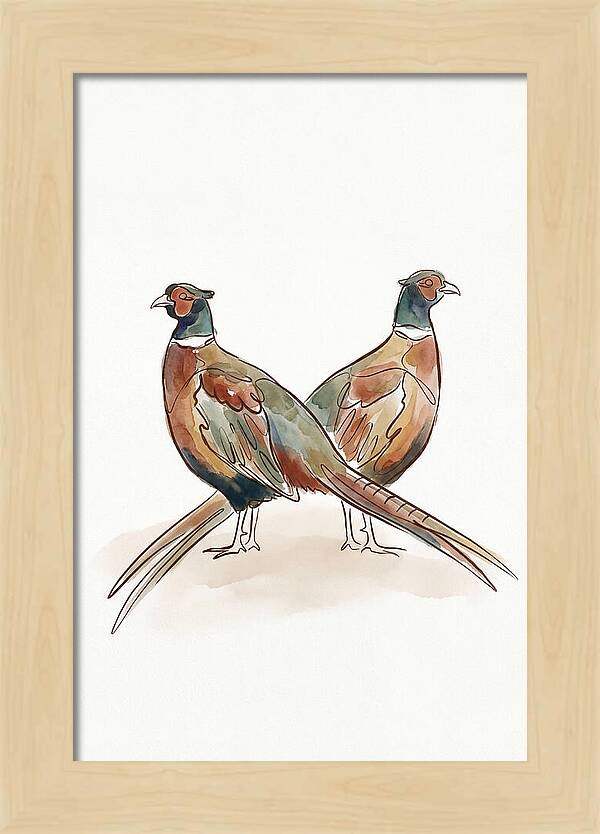Pheasants In Iridescent Plumage