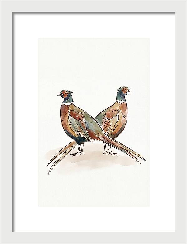 Pheasants In Iridescent Plumage