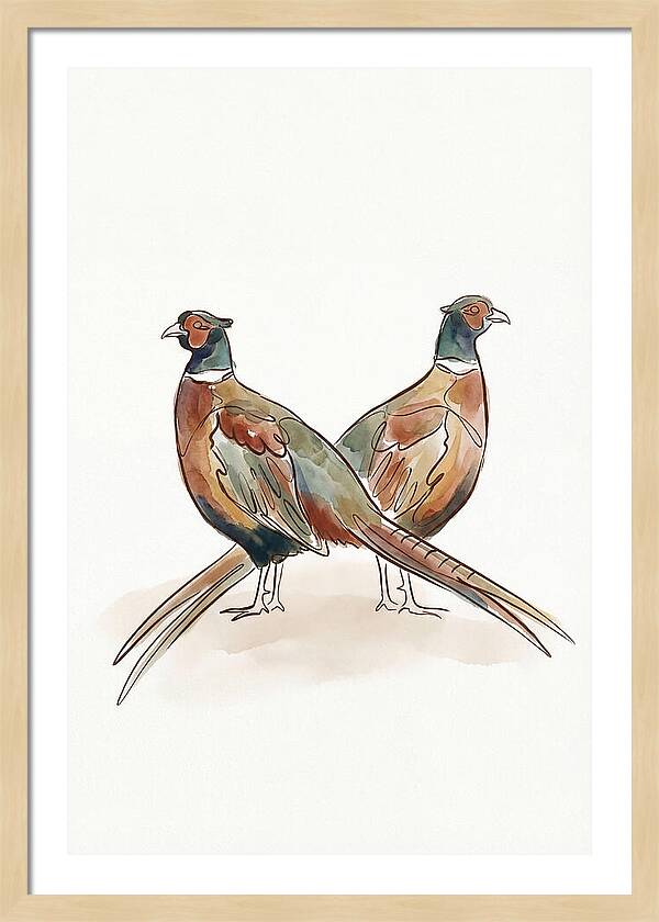 Pheasants In Iridescent Plumage