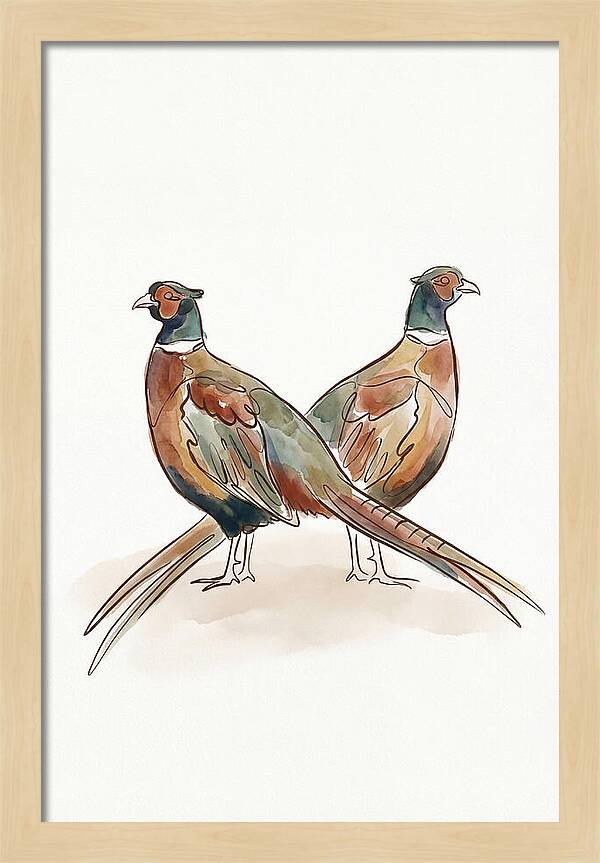 Pheasants In Iridescent Plumage