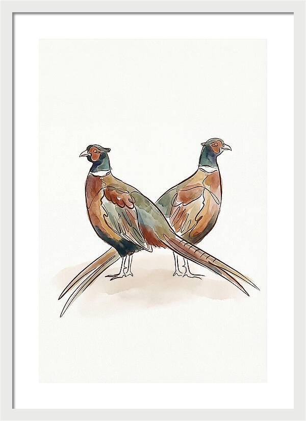 Pheasants In Iridescent Plumage