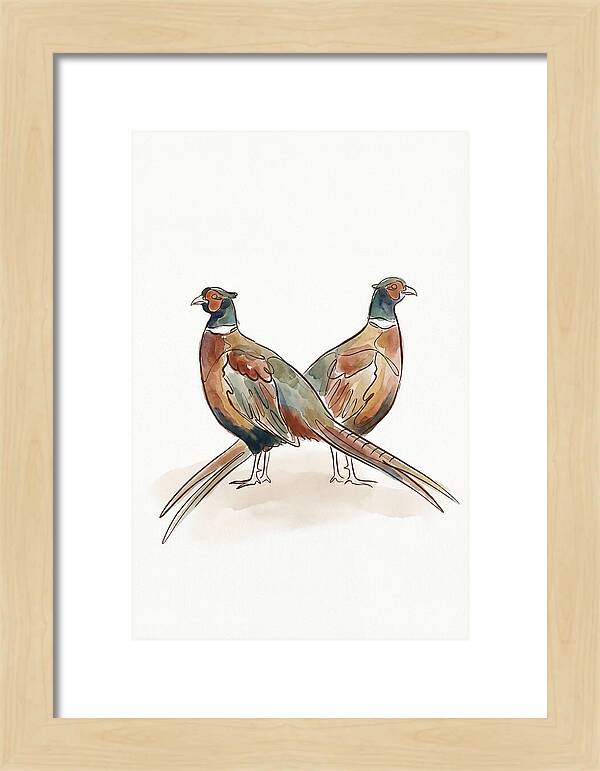 Pheasants In Iridescent Plumage