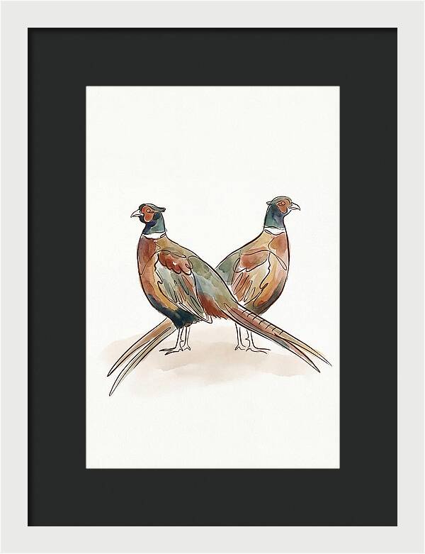 Pheasants In Iridescent Plumage