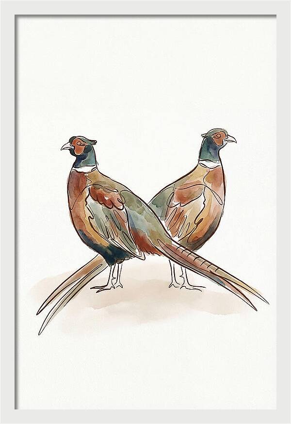 Pheasants In Iridescent Plumage