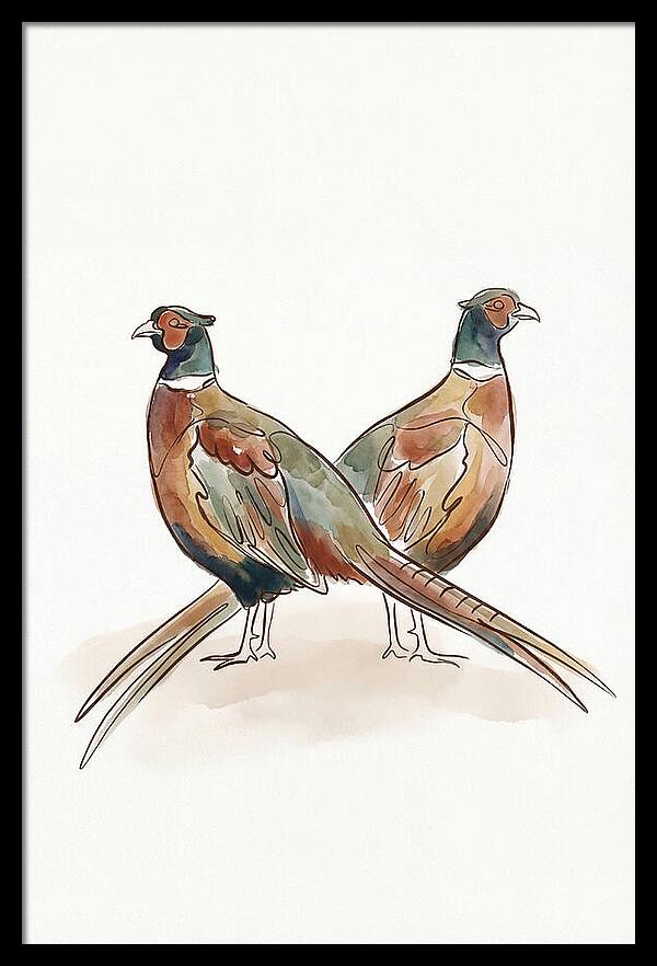 Pheasants In Iridescent Plumage