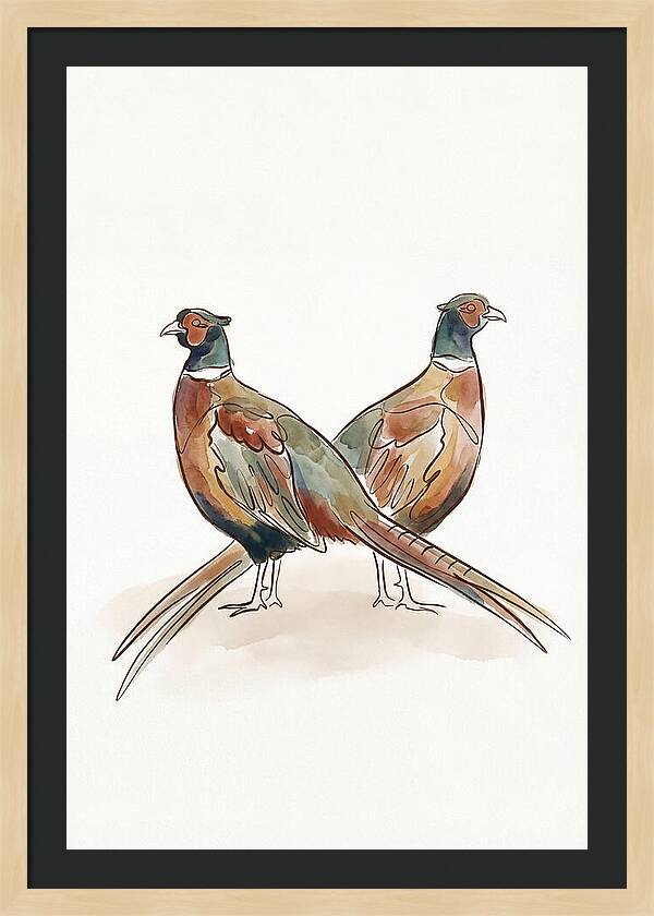 Pheasants In Iridescent Plumage