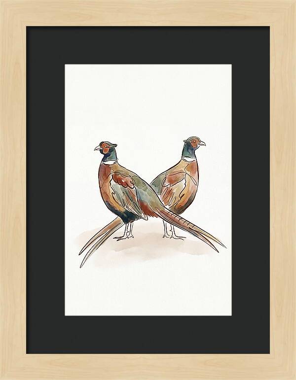 Pheasants In Iridescent Plumage