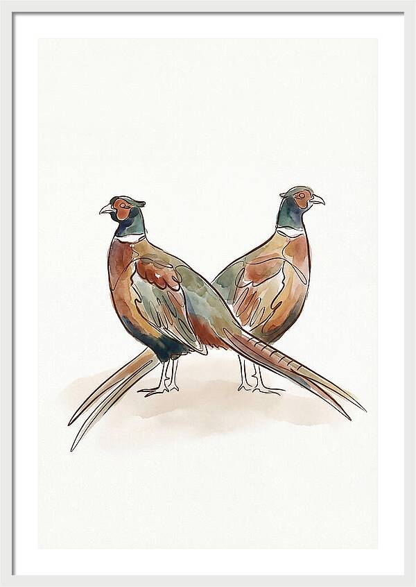 Pheasants In Iridescent Plumage