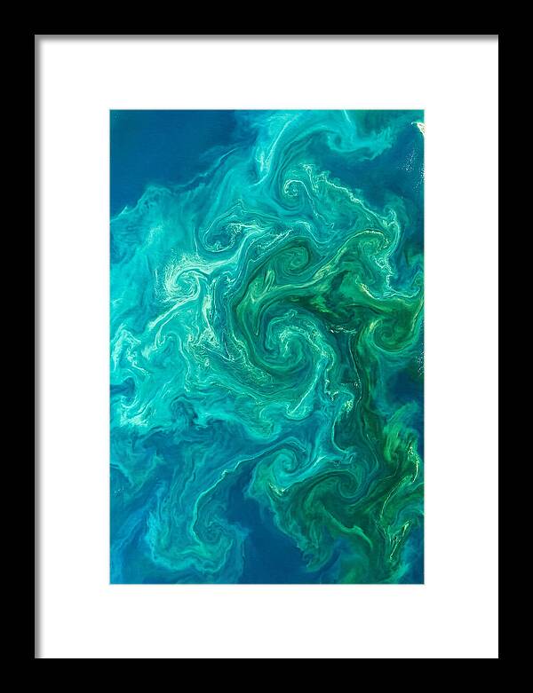 Phytoplankton Bloom Swirls