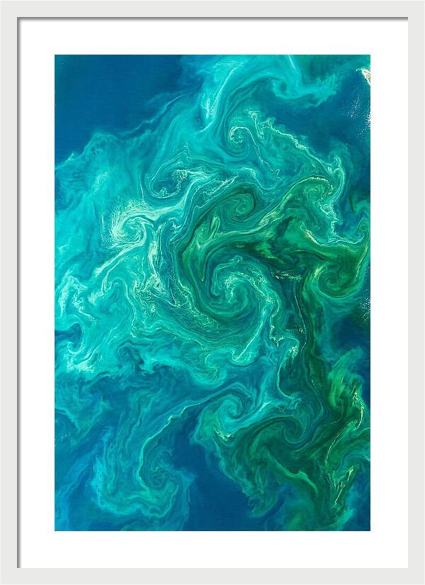 Phytoplankton Bloom Swirls