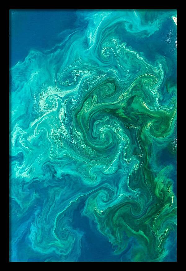 Phytoplankton Bloom Swirls
