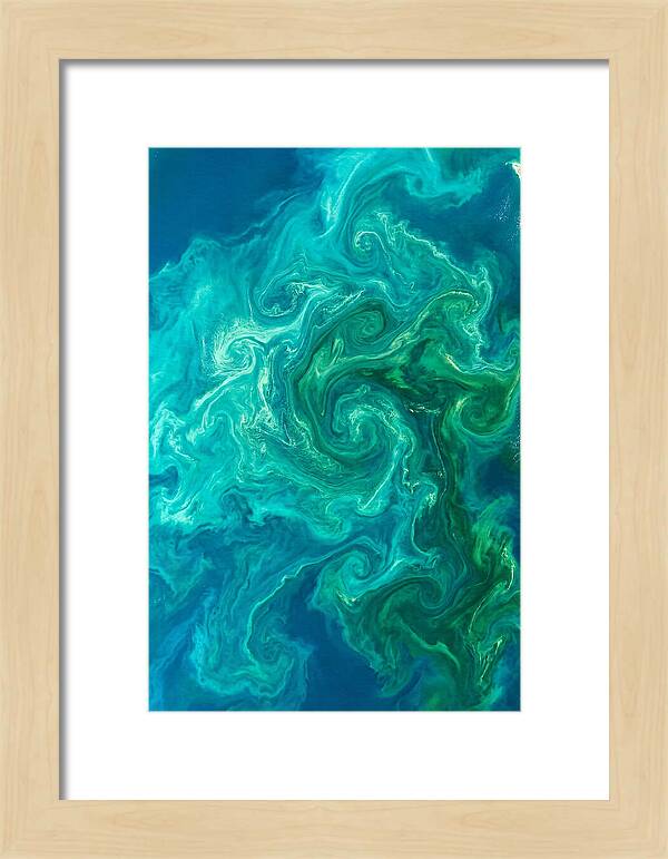 Phytoplankton Bloom Swirls