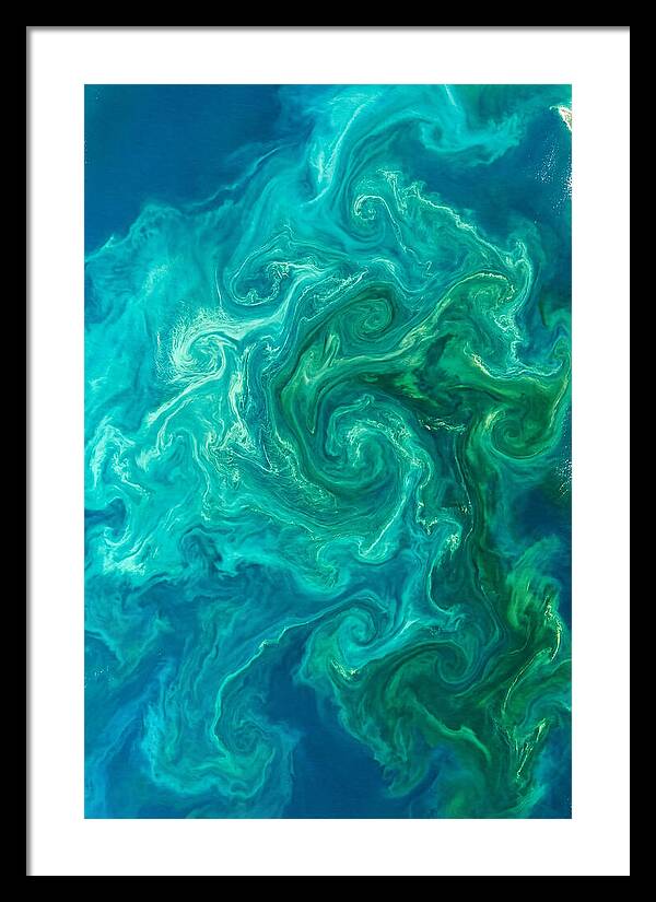 Phytoplankton Bloom Swirls