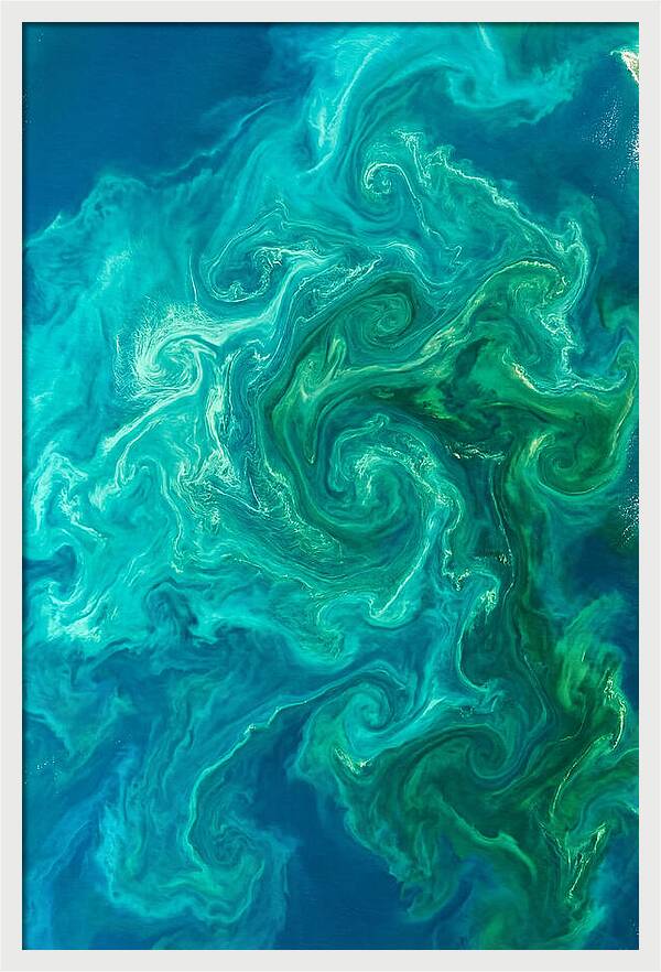 Phytoplankton Bloom Swirls