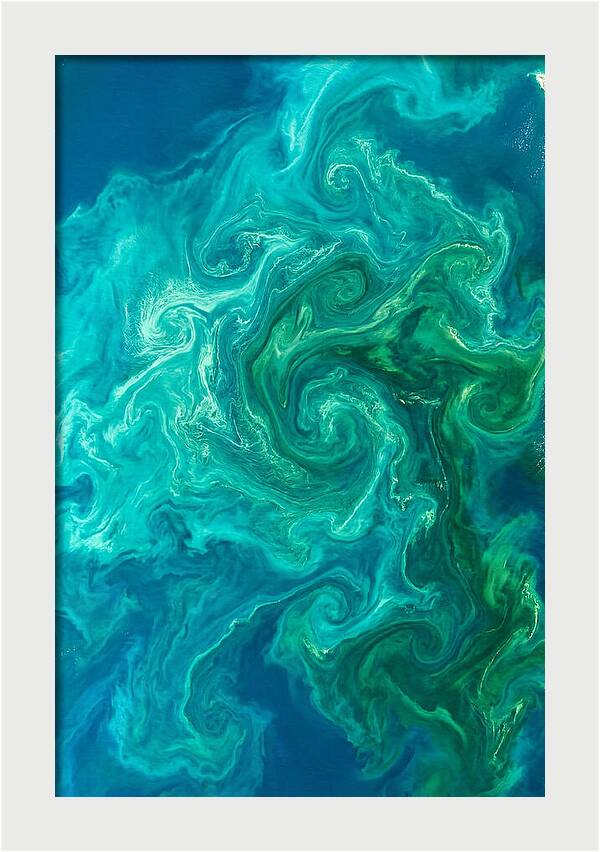 Phytoplankton Bloom Swirls