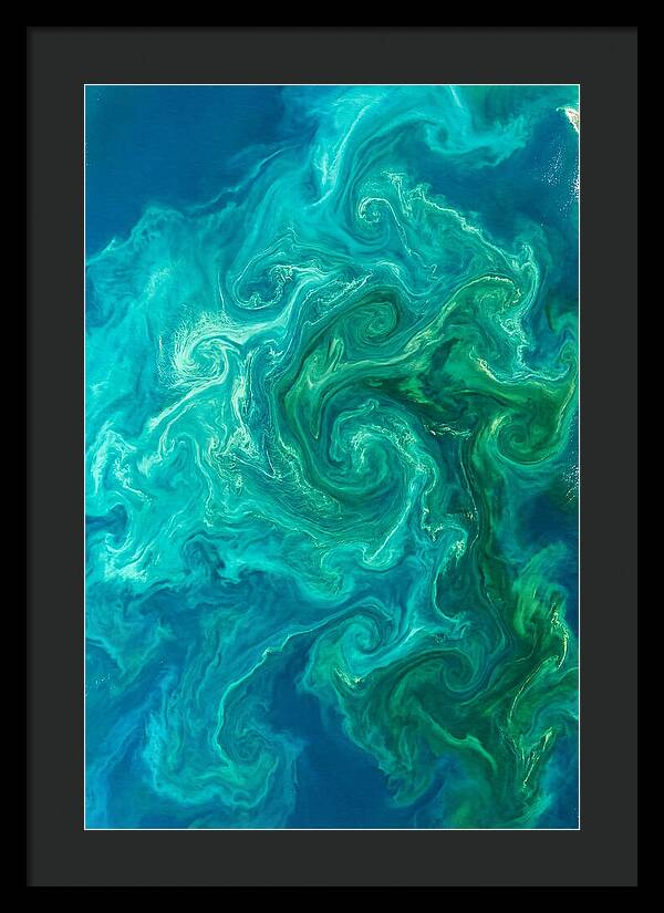 Phytoplankton Bloom Swirls