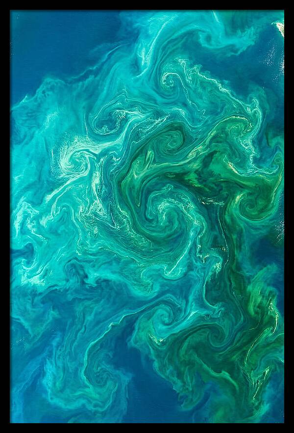 Phytoplankton Bloom Swirls