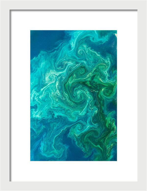 Phytoplankton Bloom Swirls