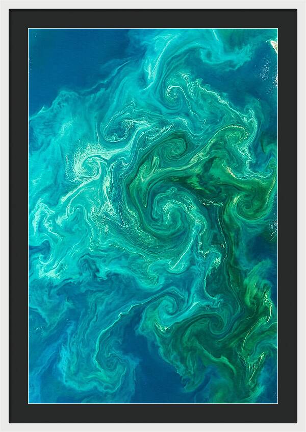 Phytoplankton Bloom Swirls