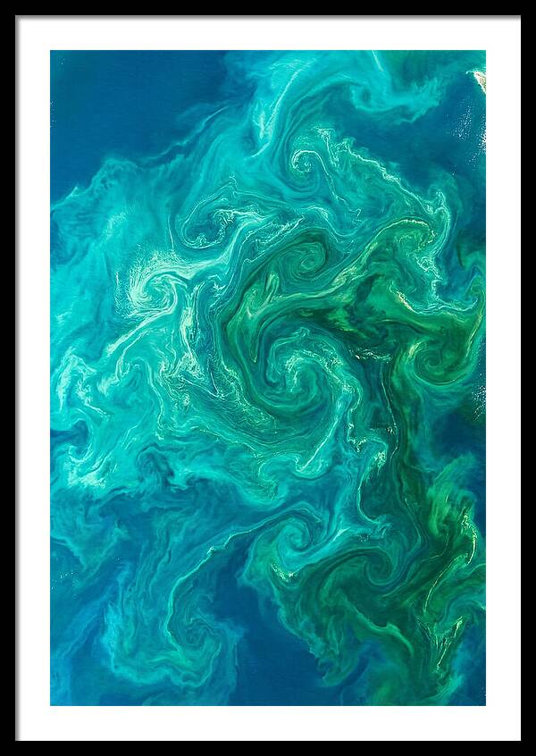Phytoplankton Bloom Swirls
