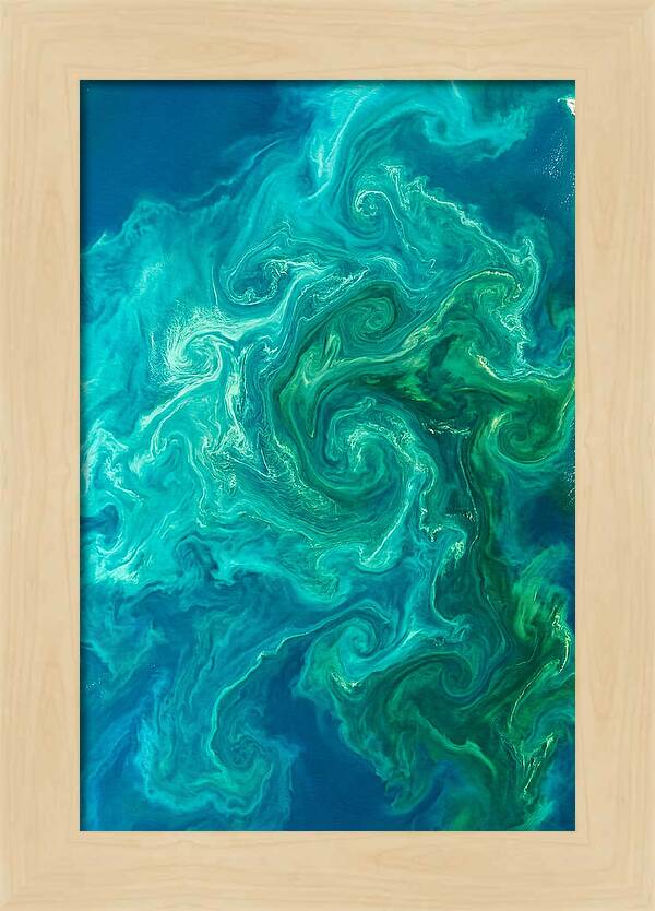 Phytoplankton Bloom Swirls