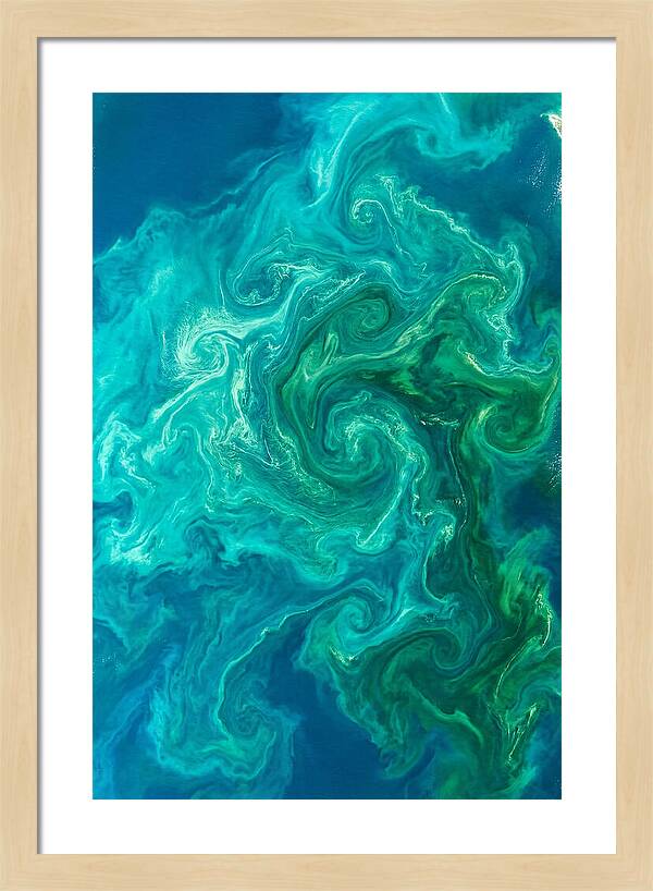 Phytoplankton Bloom Swirls