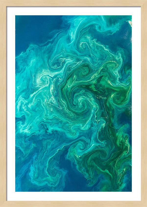 Phytoplankton Bloom Swirls