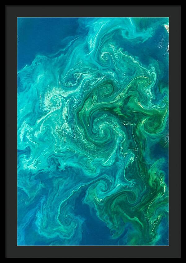 Phytoplankton Bloom Swirls