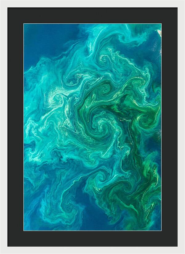 Phytoplankton Bloom Swirls