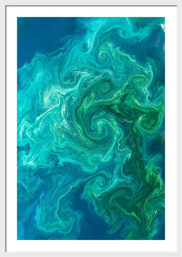 Phytoplankton Bloom Swirls