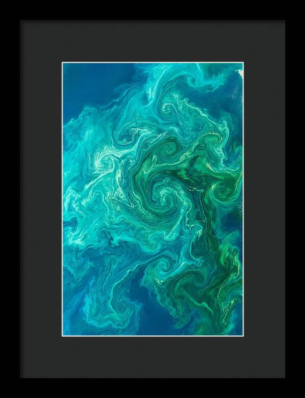 Phytoplankton Bloom Swirls