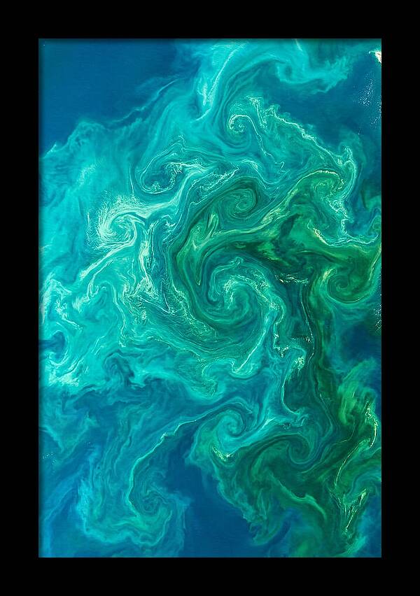 Phytoplankton Bloom Swirls