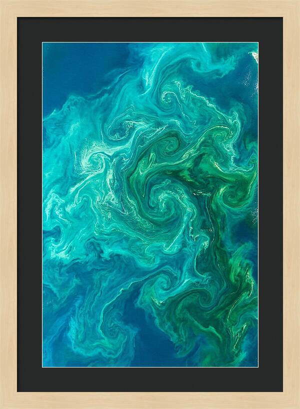 Phytoplankton Bloom Swirls