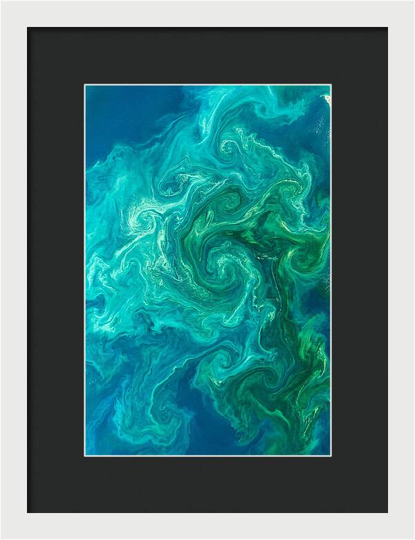 Phytoplankton Bloom Swirls