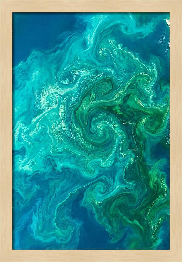 Phytoplankton Bloom Swirls