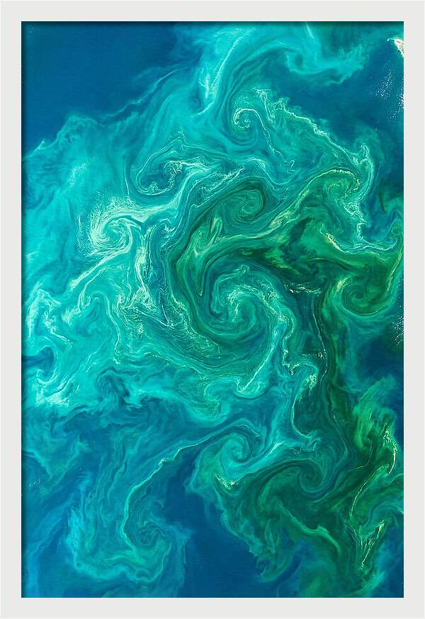 Phytoplankton Bloom Swirls