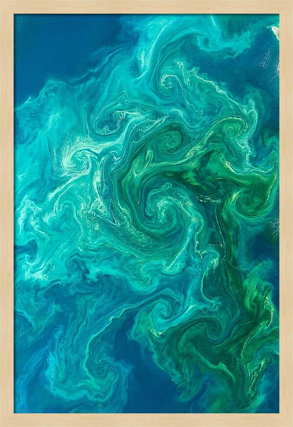 Phytoplankton Bloom Swirls