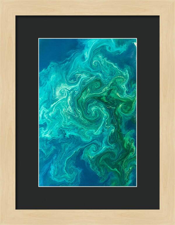 Phytoplankton Bloom Swirls