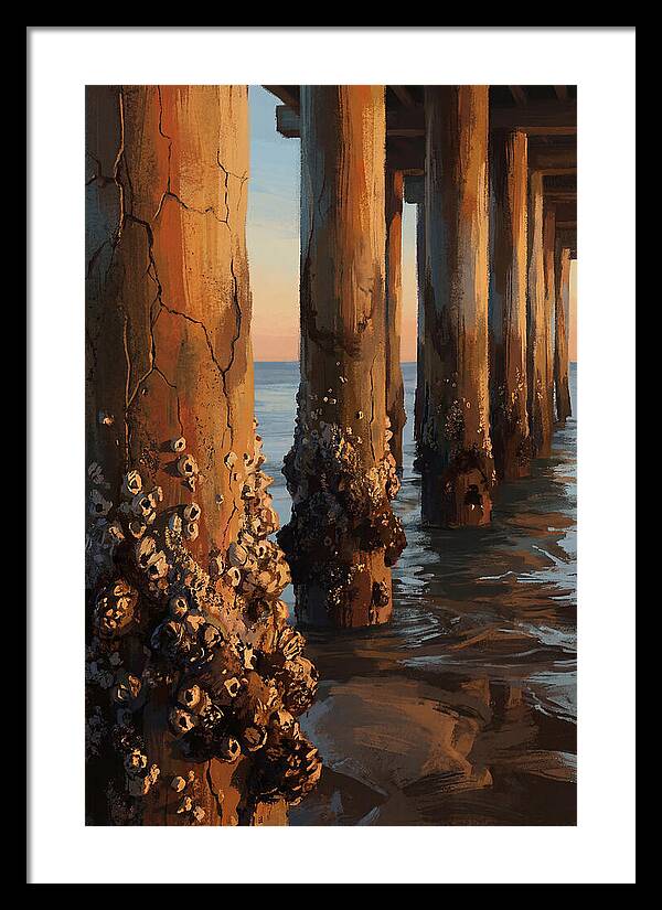 Pier Pilings At Low Tide