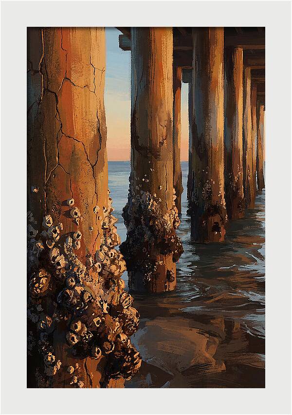 Pier Pilings At Low Tide