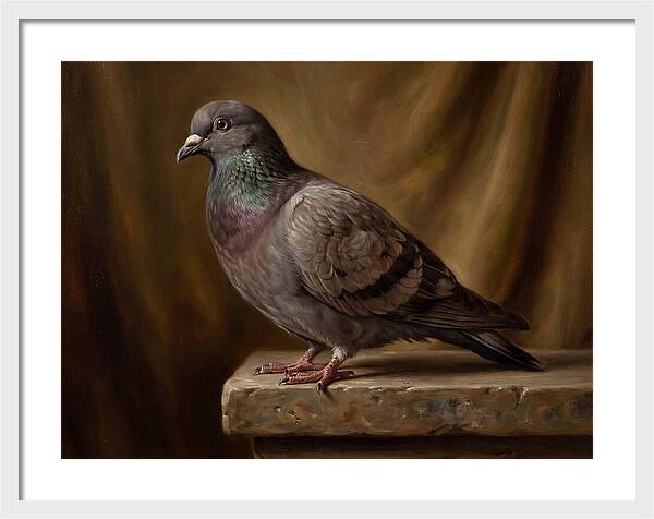 Pigeon Perched Elegance